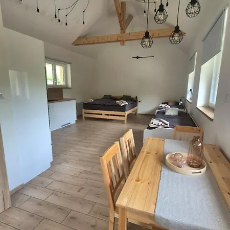 Guest house Orlov