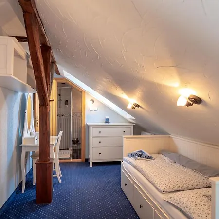 Orlov בית הארחה