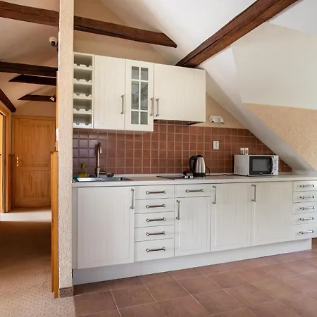 Guest house Orlov 4*