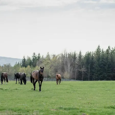 Orlov 4* Пршибрам