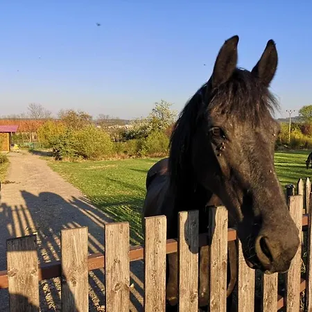 Гостевой дом Orlov 4*