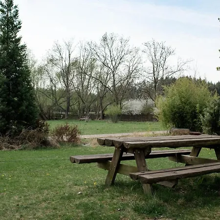 בית הארחה Orlov