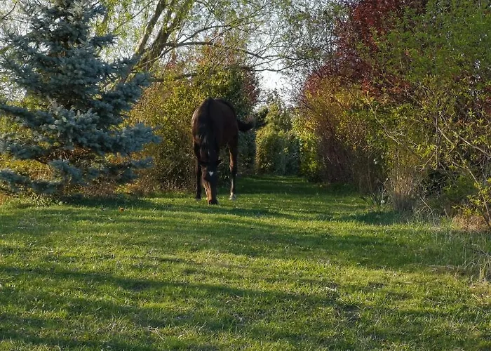 Pensjonat Orlov Příbram